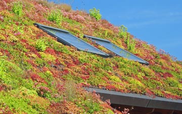 Creech Bottom living roof systems