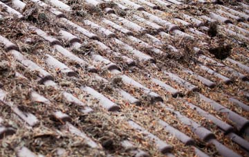 Creech Bottom roof cleaning companies