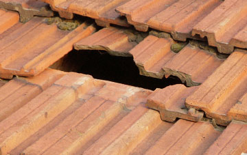 roof repair Creech Bottom, Dorset