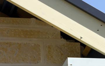 soffit repair Creech Bottom