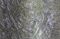 Creech Bottom fibreglass roof work